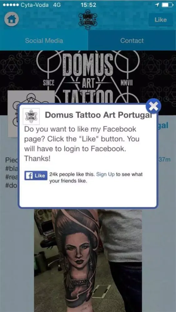 Captures d'écran de Domus Art