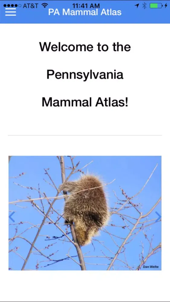 Capturas de tela do PA Mammal Atlas