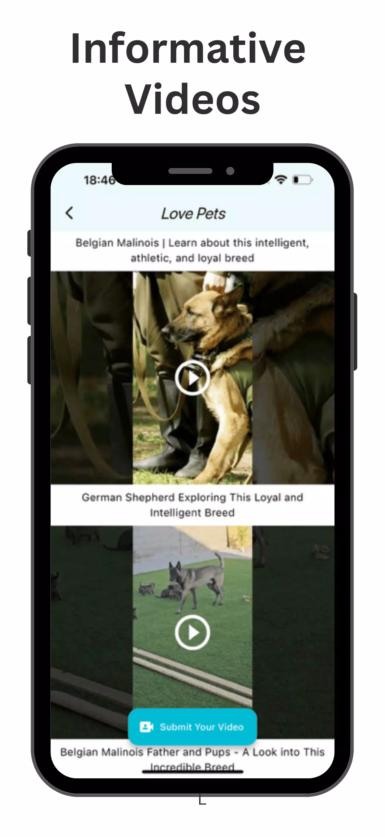 Pets Home Screenshots