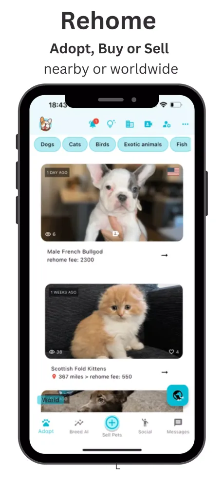 Tangkapan layar Pets Home