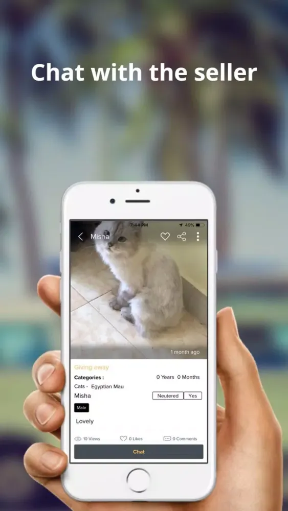 Скриншоты Petsmain