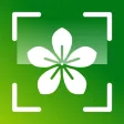 Plant Identifier +