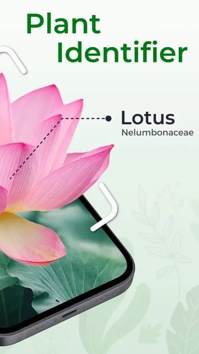 Plant Identifier + Screenshots