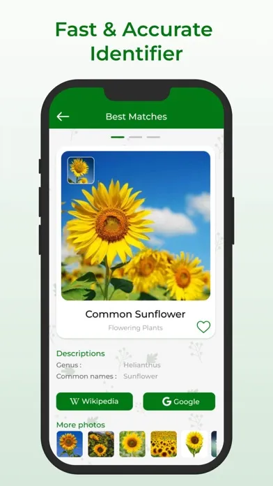Plant Identifier + Screenshots