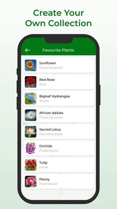 Plant Identifier + Screenshots