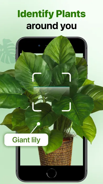 Tangkapan layar Plant Identifier AI - Plant ID