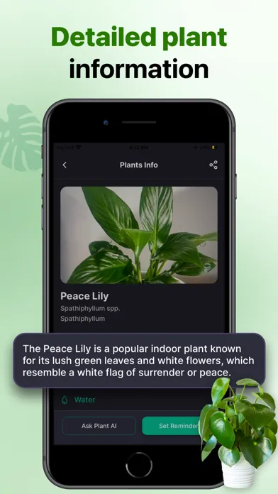 Tangkapan layar Plant Identifier AI - Plant ID