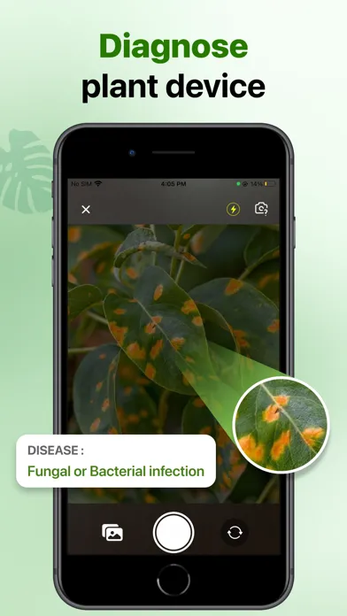 Tangkapan layar Plant Identifier AI - Plant ID