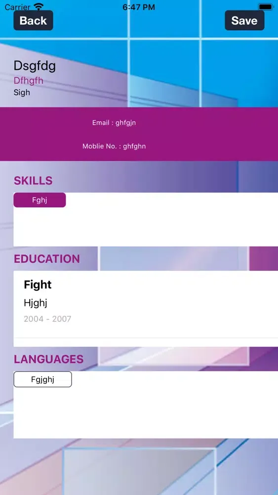 ภาพหน้าจอของ Quick Nimble CV Generator