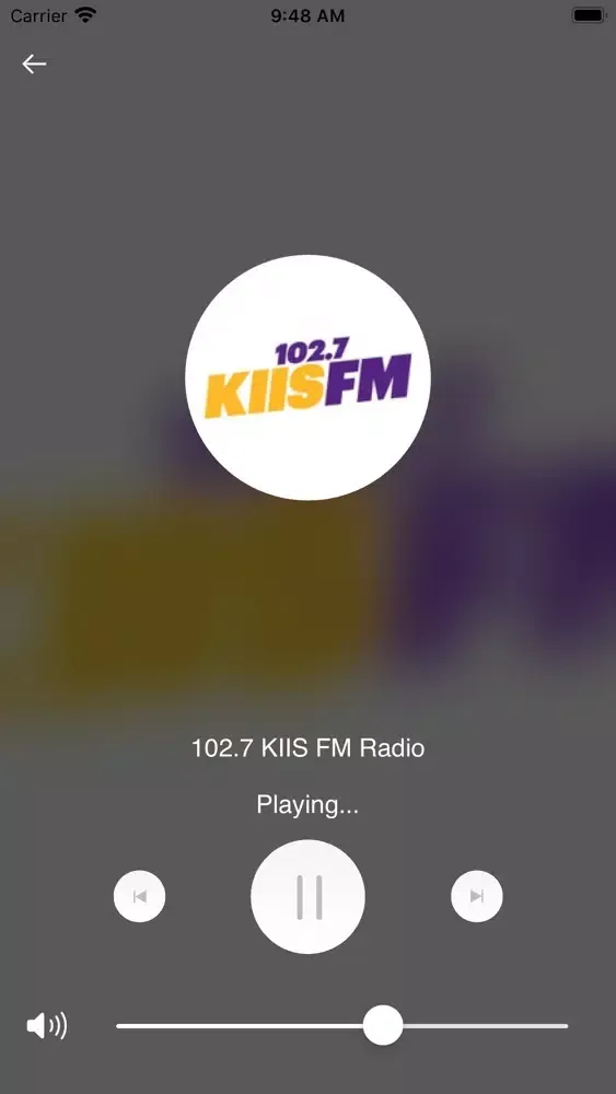 Radio Spotifi Connect應用截圖
