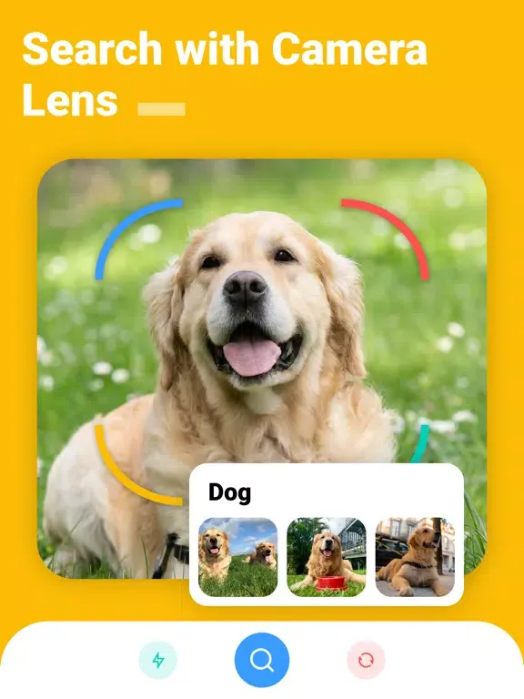 Reverse Image Search` Googlr iPad  Screenshots