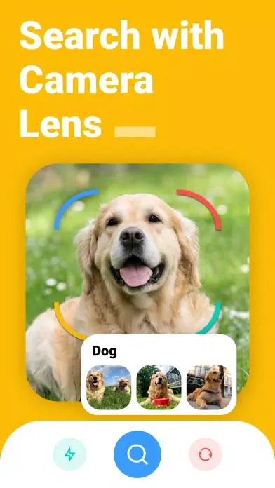 Reverse Image Search` Googlr Screenshots