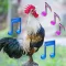 Animal Ringtone