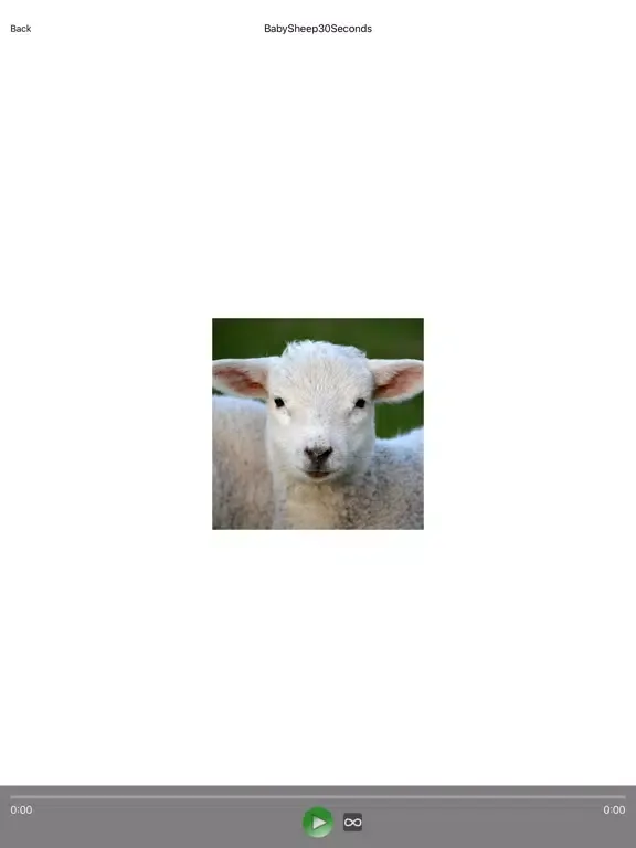 Sheep Sounds + Sheep Noises iPad  Screenshots