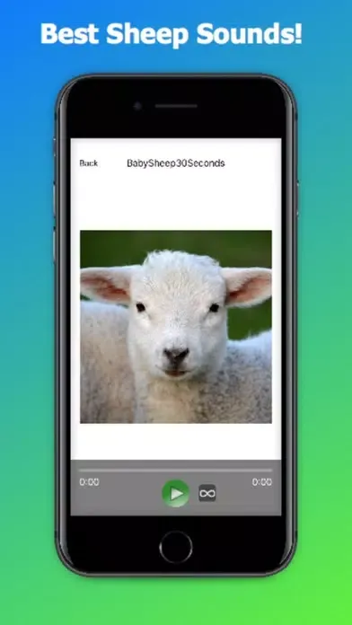 Sheep Sounds + Sheep Noises Screenshots