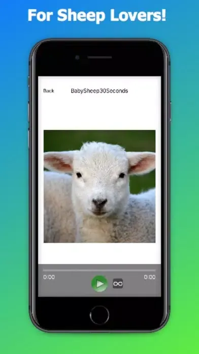 Sheep Sounds + Sheep Noises Screenshots
