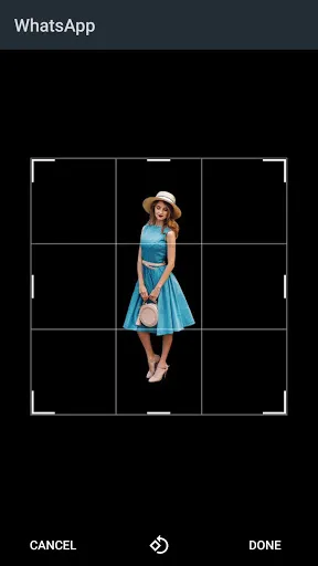 Tangkapan layar Whatscrop - set full size dp -