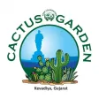 Cactus Garden Cactus Garden