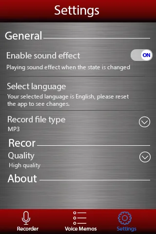 Voice Recorder应用截图