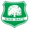 SWG Safe