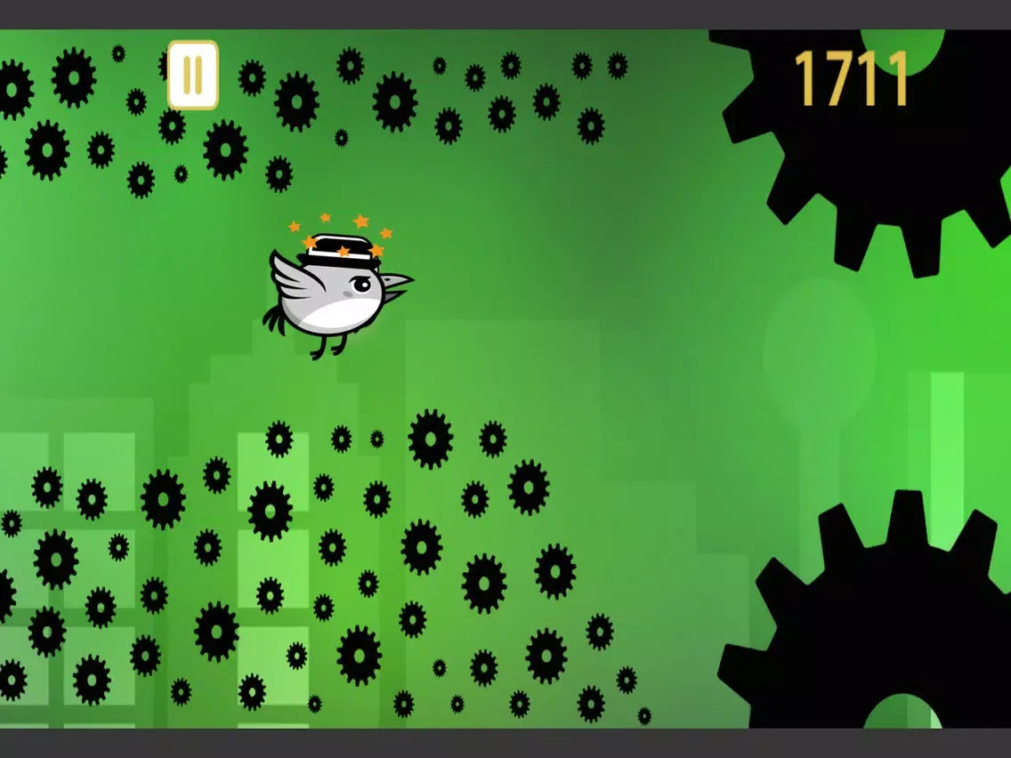Tap My Bird : Mid Night Adventure iPad  Ekran Görüntüleri