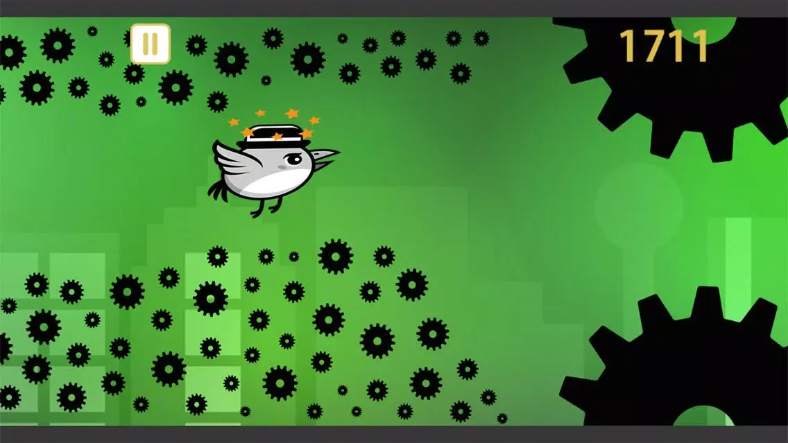Tap My Bird : Mid Night Adventure Ekran Görüntüleri