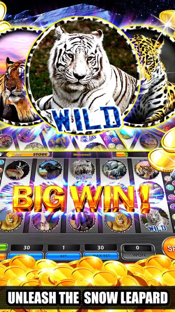 تصاویر Snow Leopard Casino HD – Free Jungle Slot Machines
