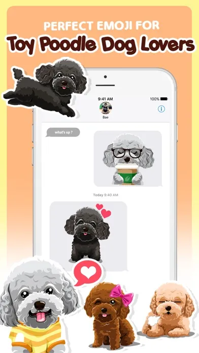 Toy Poodle Dog Emojis Stickers應用截圖