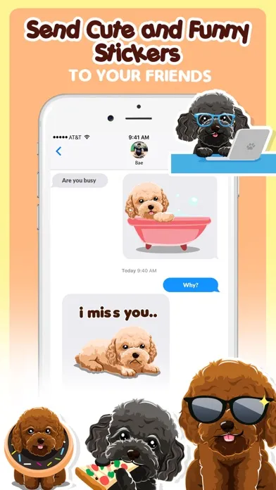 Toy Poodle Dog Emojis Stickers應用截圖