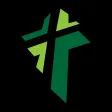True Vine Media