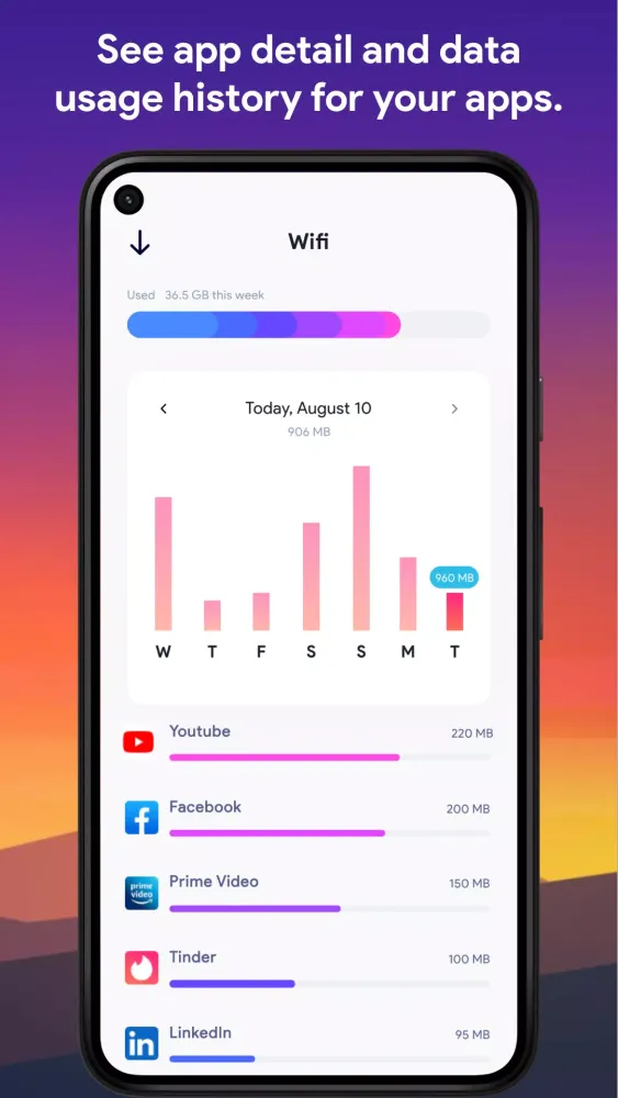 Data Usage Manager: Data Alert应用截图