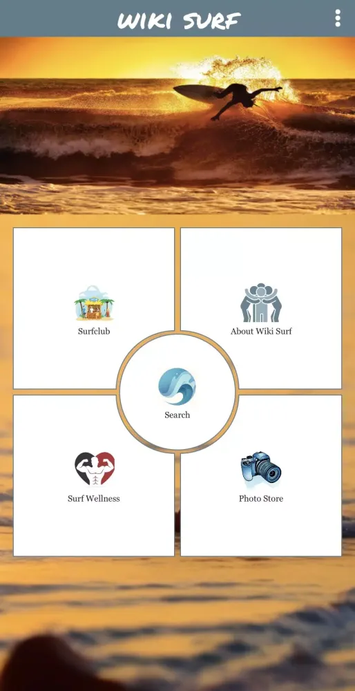 Wiki Surf Screenshots
