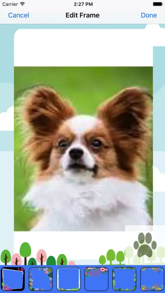 Wood Hill Veterinary Clinic سکرین شاٹس