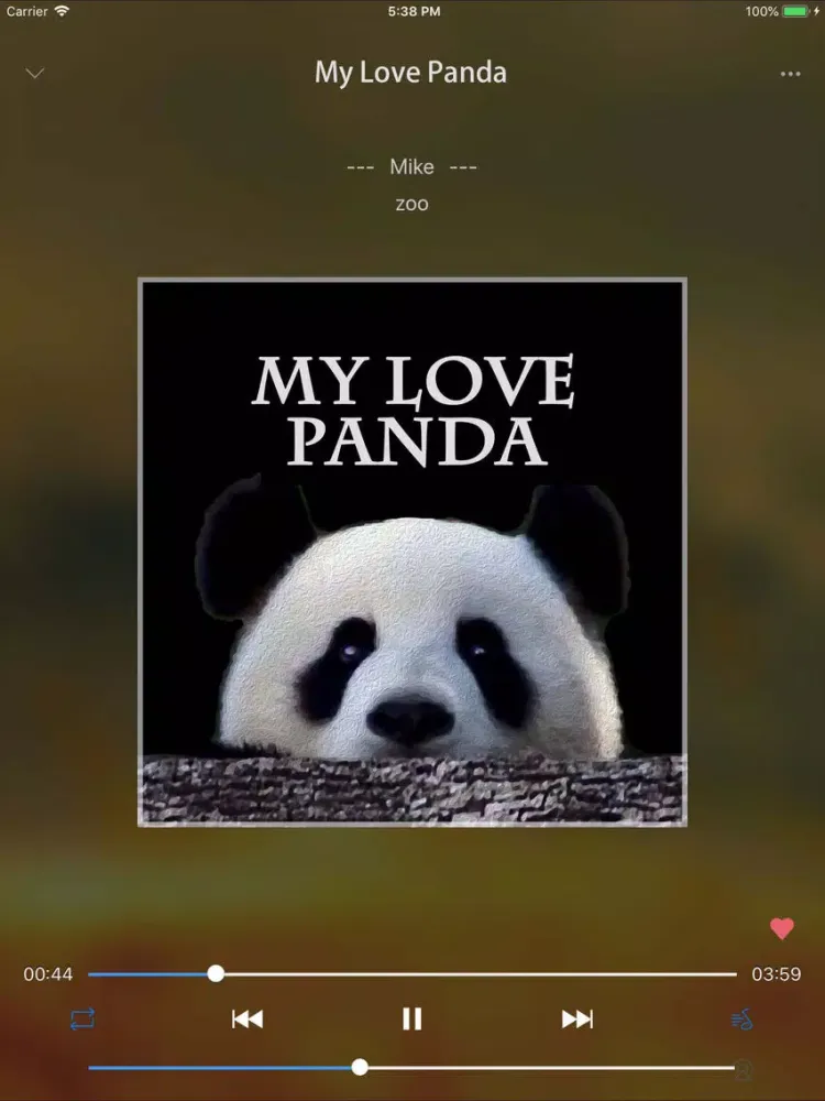 Cloud Music Player - Pro iPad  Screenshots