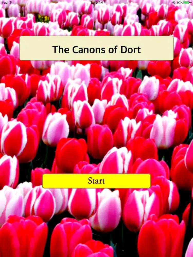 Captures d'écran de The Cannons of Dort Lite iPad 