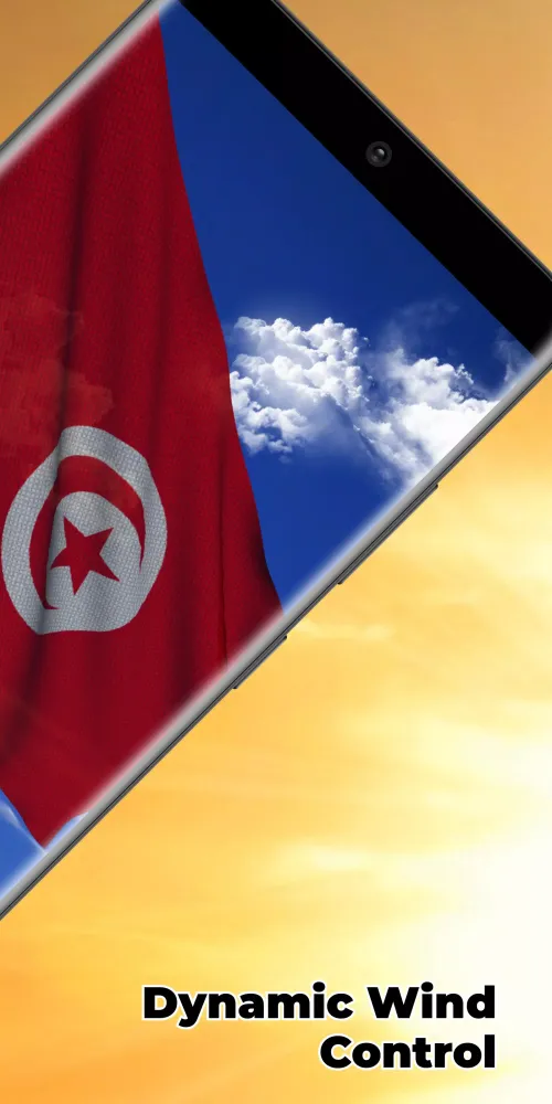 Скриншоты Tunisia Flag