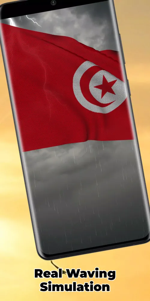 Скриншоты Tunisia Flag