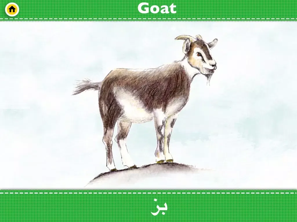 LingoFlash English-Farsi iPad 应用截图