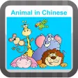 Animal name list in Chinese come as an amusing and educational