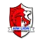 AIM Lion International