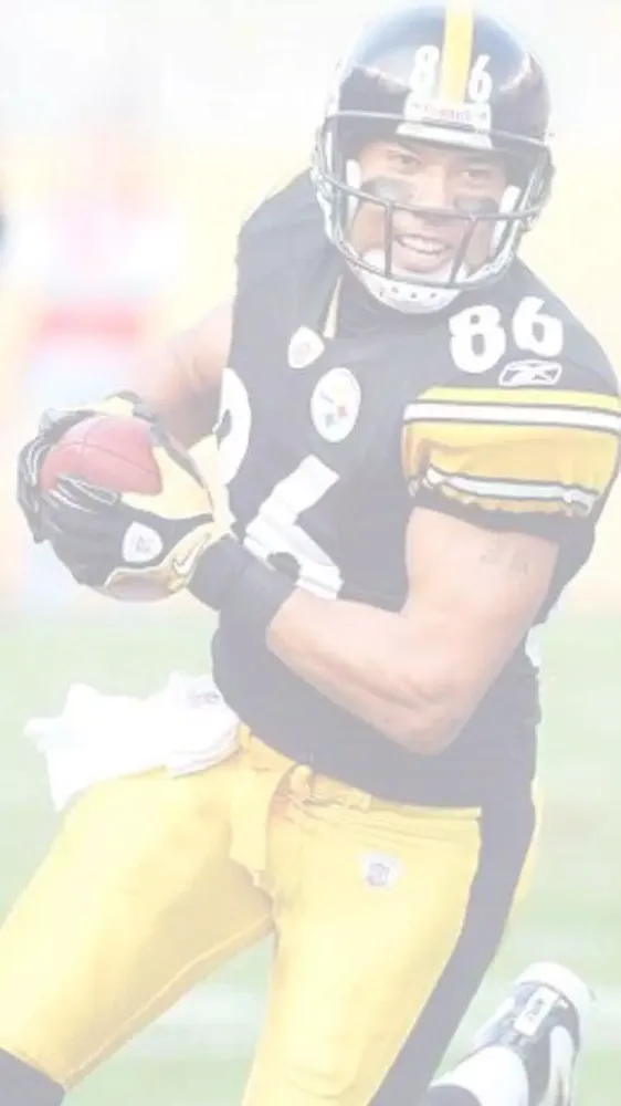 صور Hines Ward