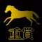 JRA Calendar for 競馬予想口コミ・評判