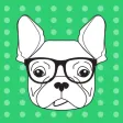 Dog-Face