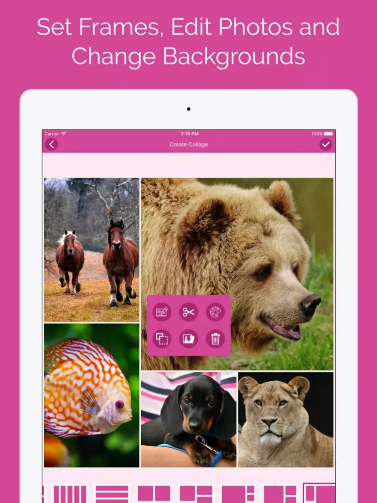 Zrzuty ekranu Photo Collage Manager iPad 