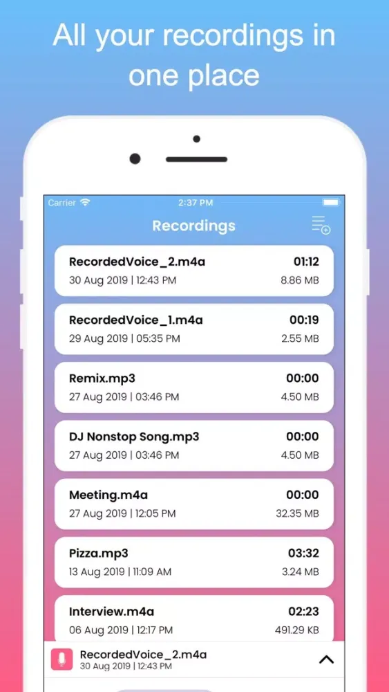 Tangkapan skrin Voice Recorder PRO