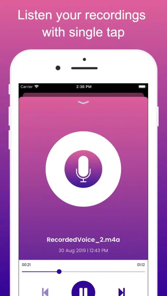 Tangkapan skrin Voice Recorder PRO