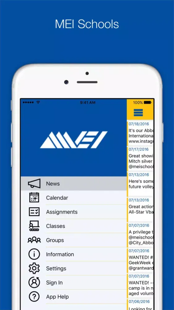 Скриншоты MEI Schools