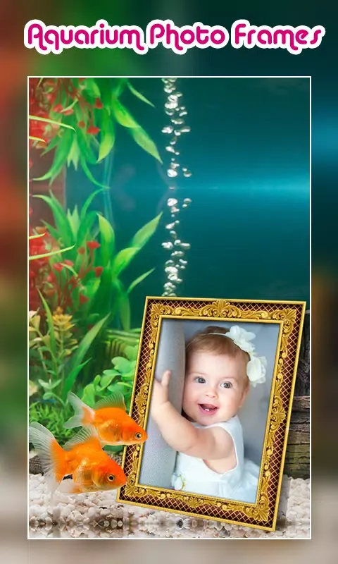 Screenshot di Aquarium Photo Frames