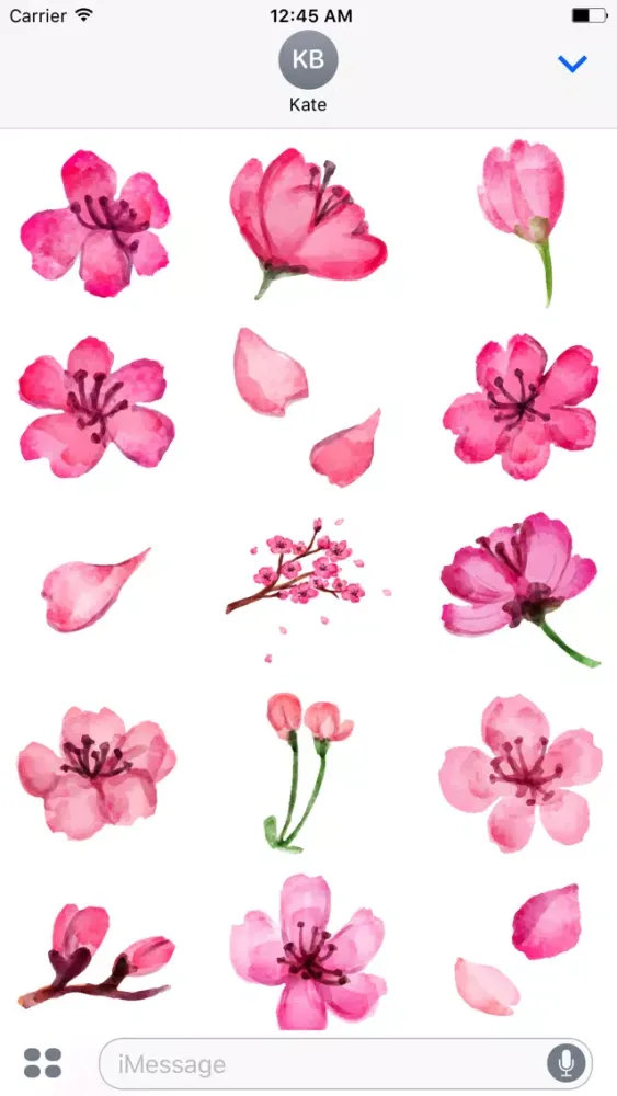 Watercolor Cherry Blossom Sticker Pack应用截图