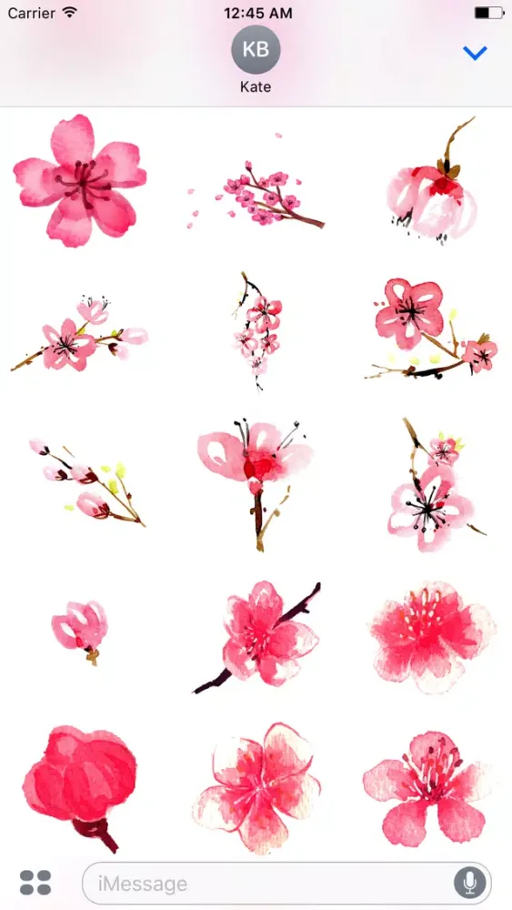 Watercolor Cherry Blossom Sticker Pack应用截图